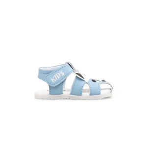 Babies Sky Blue Casual Sandal KD0818